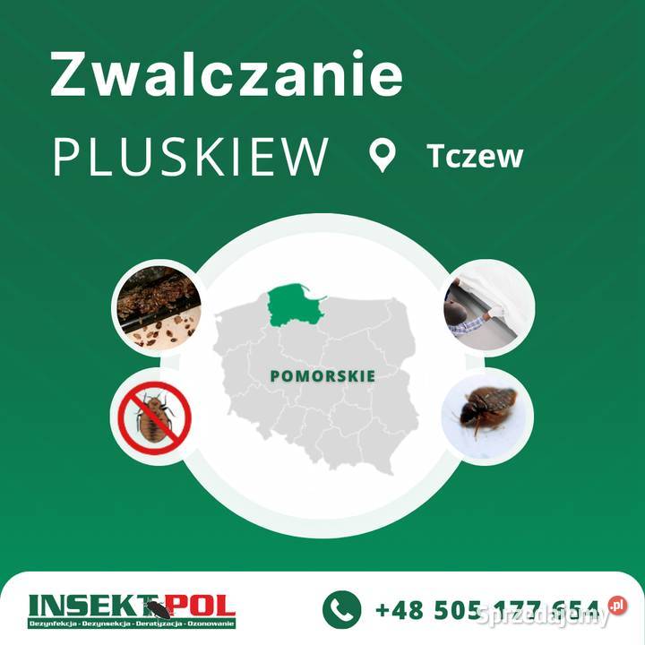 Zwalczanie pluskiew Tczew Odpluskwianie pomorskie