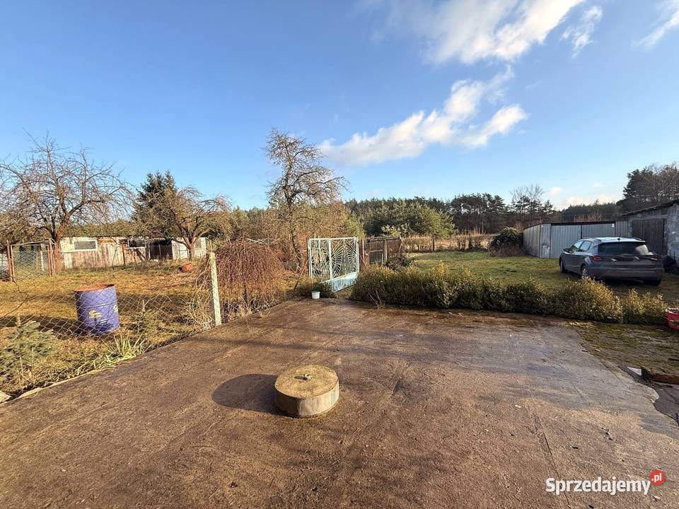 Dom z dużą działką i lasem w Nowinach Brdowskich Nowiny Brdowskie