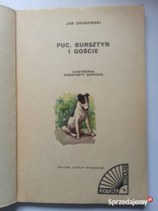 Puc Bursztyn i Goście JGrabowski lektura szkoła Łódź sprzedam