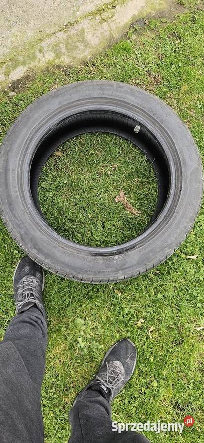 Opony Pirelli 24550 R19 run flat wielosezonowe podkarpackie Dębica