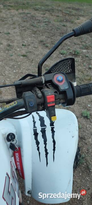 Quad Bashan 250 Działdowo