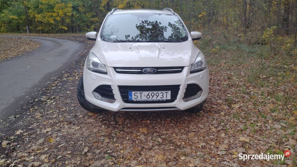 Ford Kuga 20 163 biały Motoryzacja Bełk
