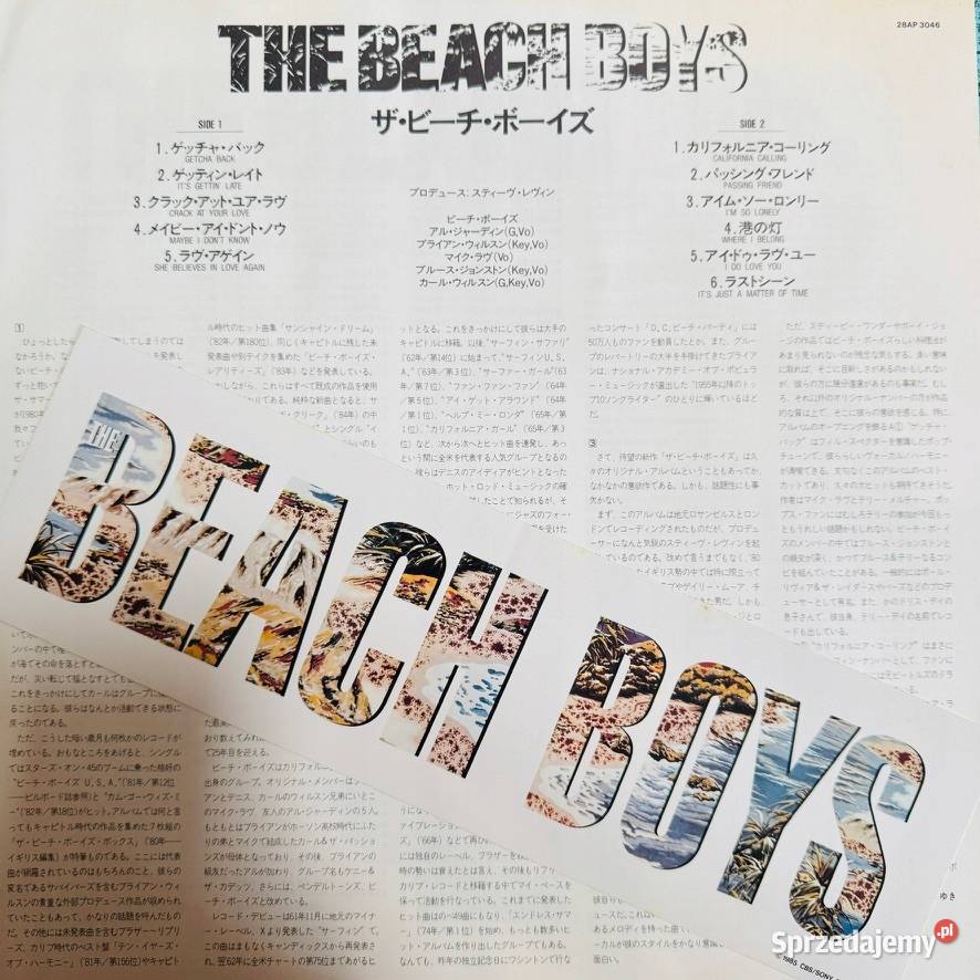 The Beach Boys The Beach Boys LP CRB26378 VG The Szczecin