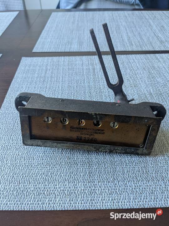 Takie COŚ lubuskie Gorzów Wielkopolski