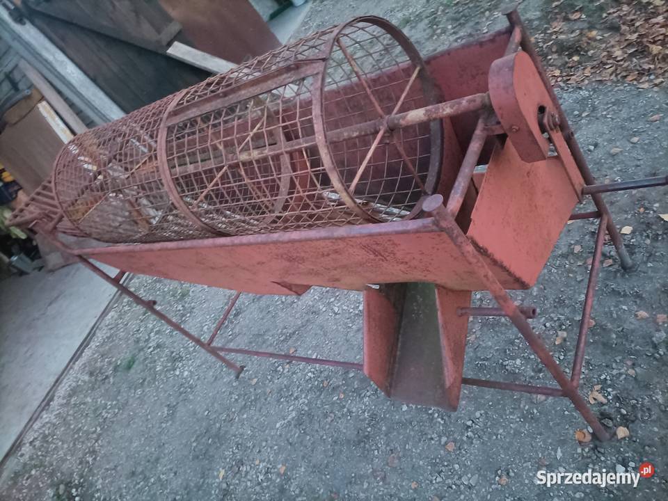 sortownik do ziemniaków Wilczyn