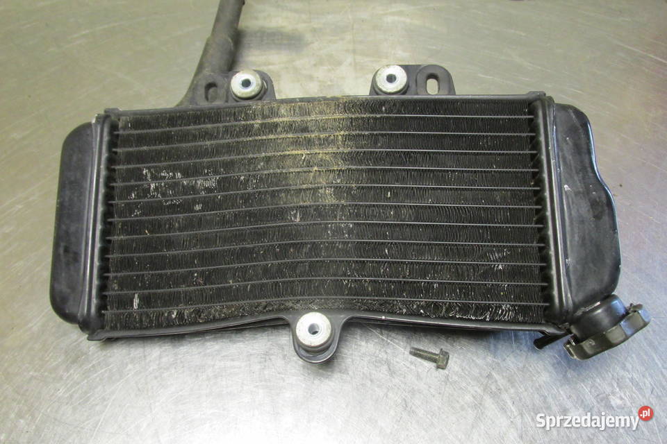 Chłodnica Yamaha TDR 125 02r Sandomierz