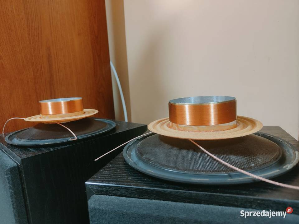 Głośniki Dynaudio Naprawa Serwis pomorskie