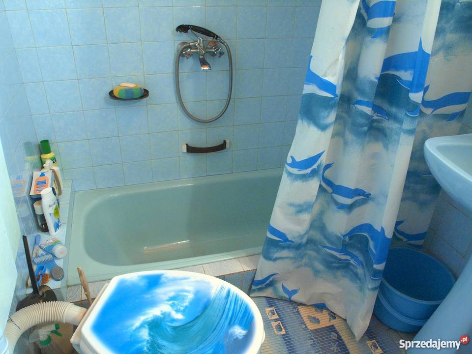 Sprzedam daczę 270 działka 7 a w górach blacha Domy sprzedam