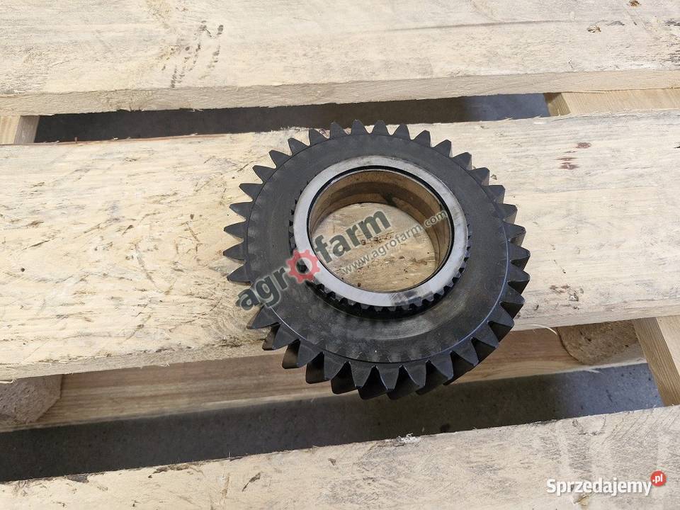 Koło zębate Massey Ferguson 8210 8220 8240 8250 Byków