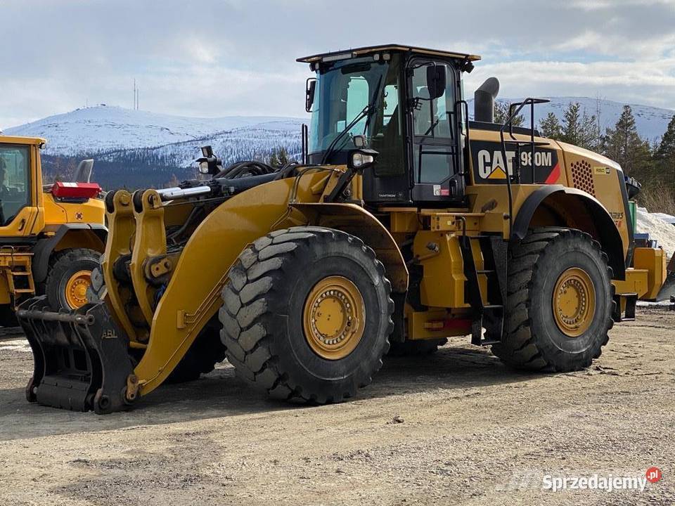 CAT Wyłączanie Usuwanie Adblue SCR DPF Wszystkie Kielce