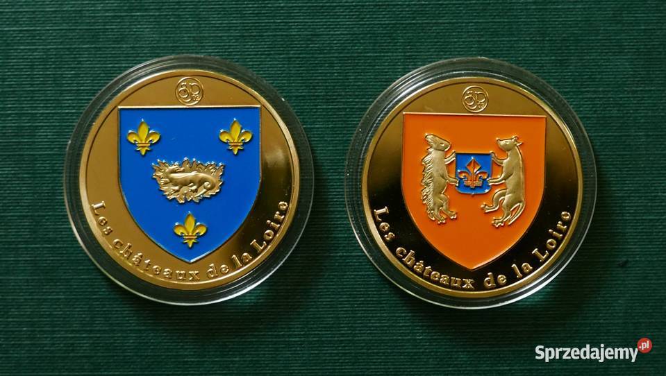 Francja Zamki Loarą Chambord Blois śląskie Gliwice