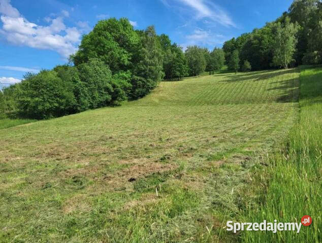 Działka 5305m2 Piechowice budowlana Sprzedaż Nieruchomości