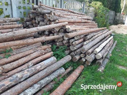 Stemple budowlane drewniane podpory słupki słupy mazowieckie Warszawa