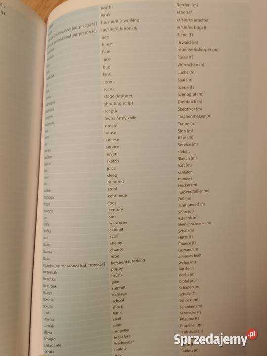 Fonetyka Testuj Swój Polski polski dla obcokrajowców Książki do nauki języka obcego Kultura i Rozrywka Rzeszów