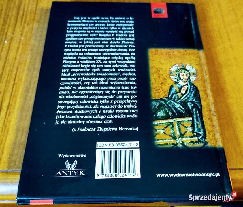 Plotyn albo Prostota spojrzenia Pierre Hadot Podręczniki Gdańsk