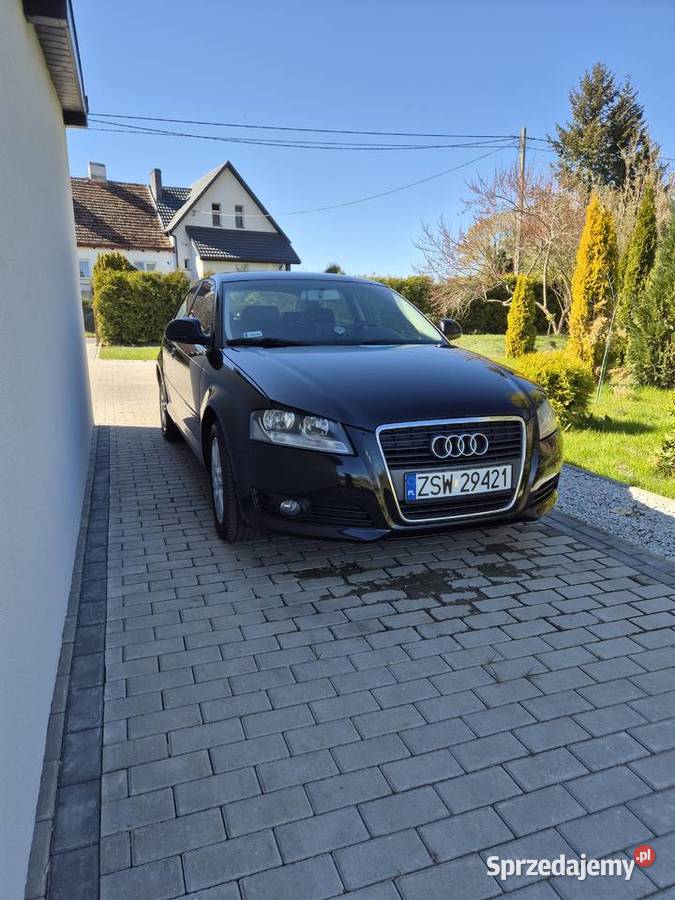 Audi a3 8p 16 mpi 2008r A3 Upadły