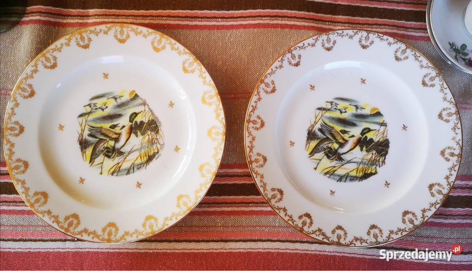 Serwis z ptakami Limoges Francja Gdańsk