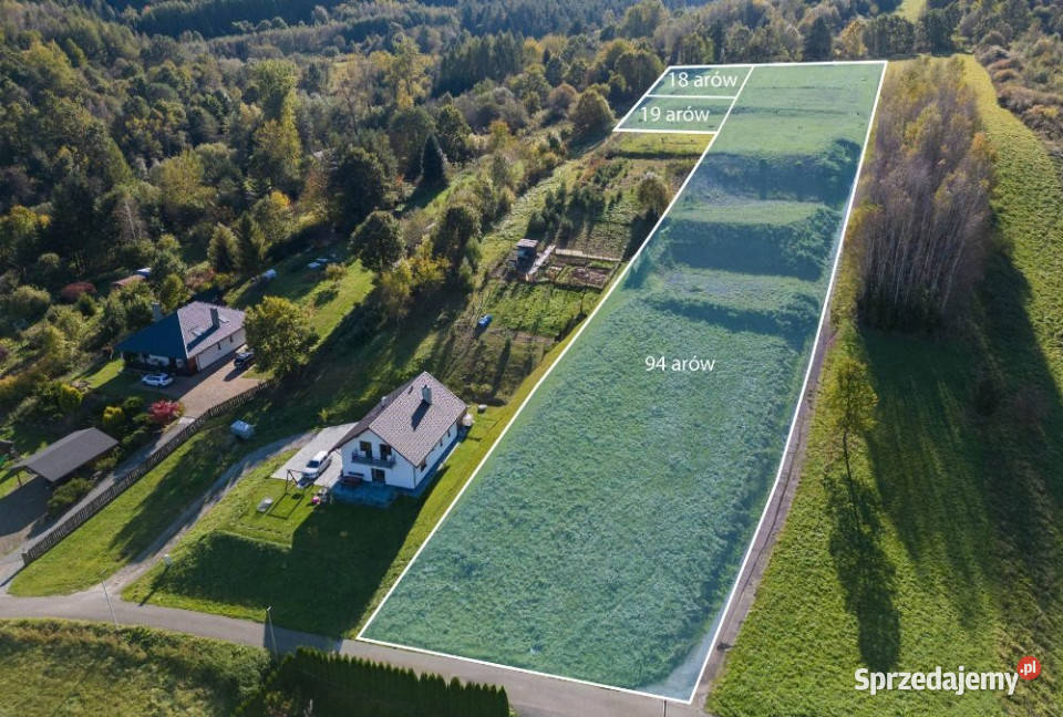 Działka 13200m2 Huzele Sprzedaż