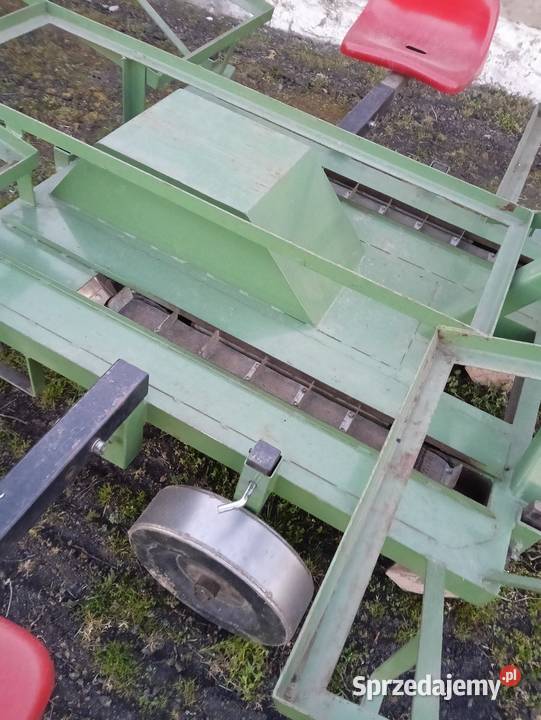 Sadzarka do ziemniaków podkiełkowanych Płońsk