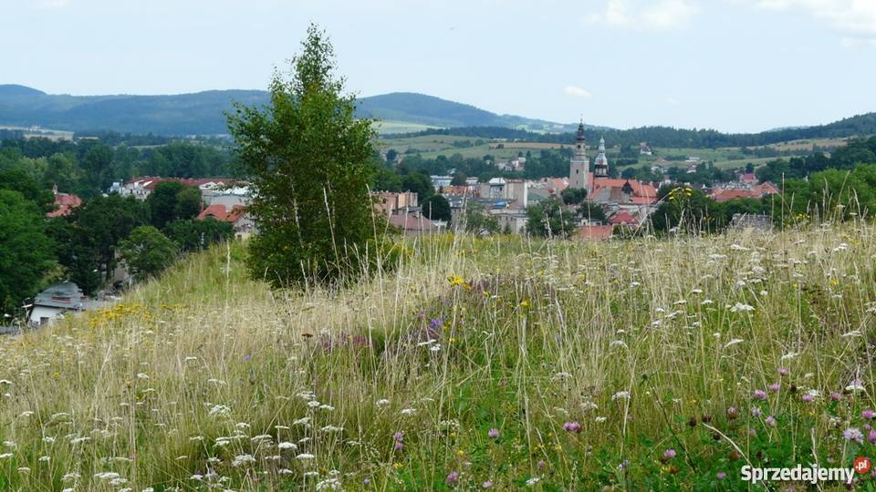Działka budowlana w górachBez pośredników gaz