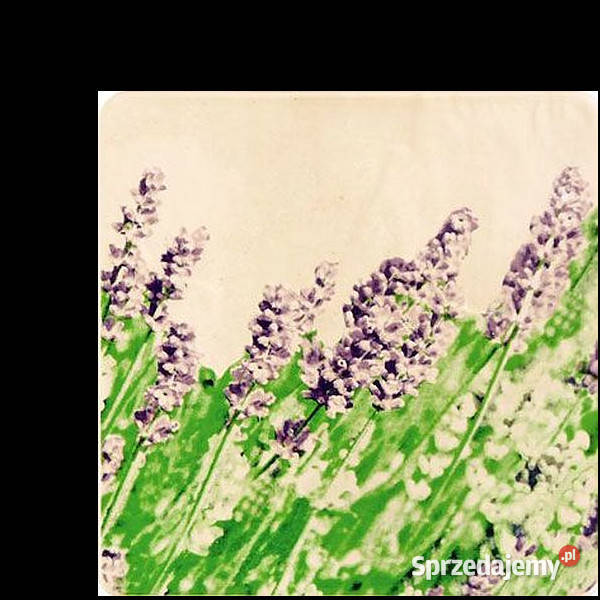 Dekor Samaria Lavande 5 Domino 20 x 20 Tubądzin Białogard