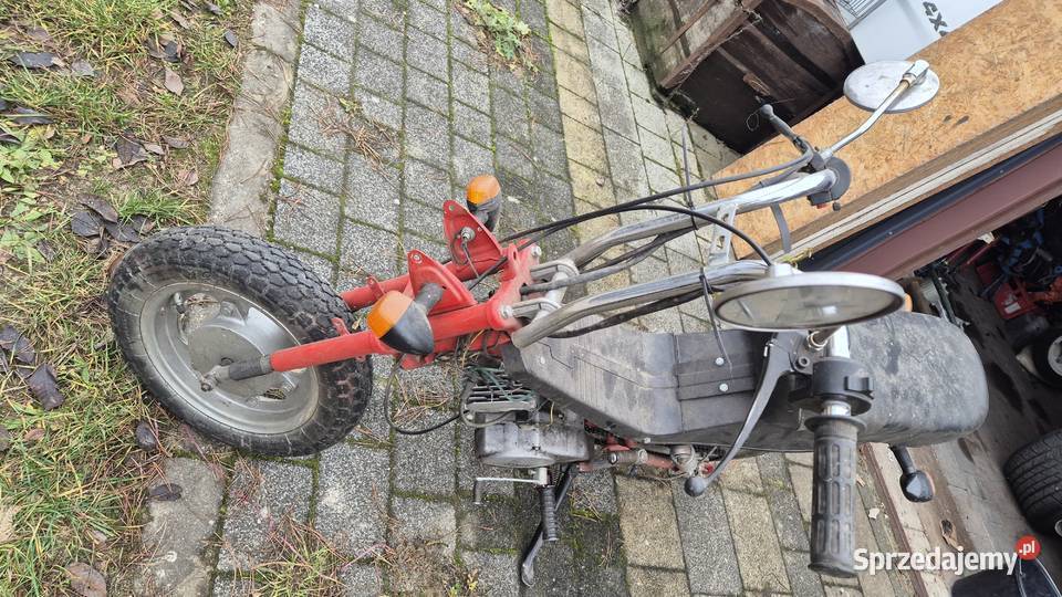 Motorynka stella Hryniewicze