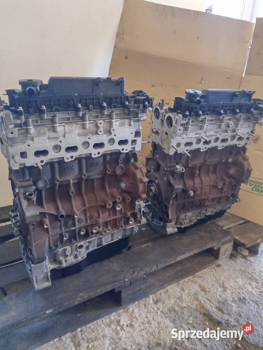 Silnik 20 bluehdi jumperboxerproace Konin sprzedam