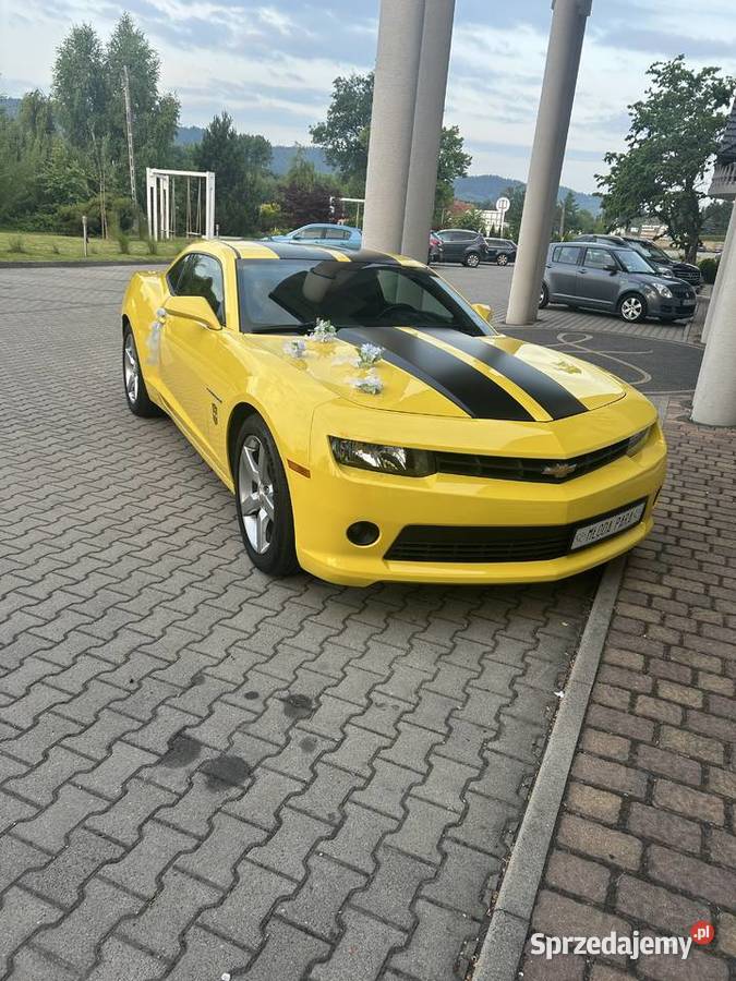 Camaro 36V automat małopolskie Zator