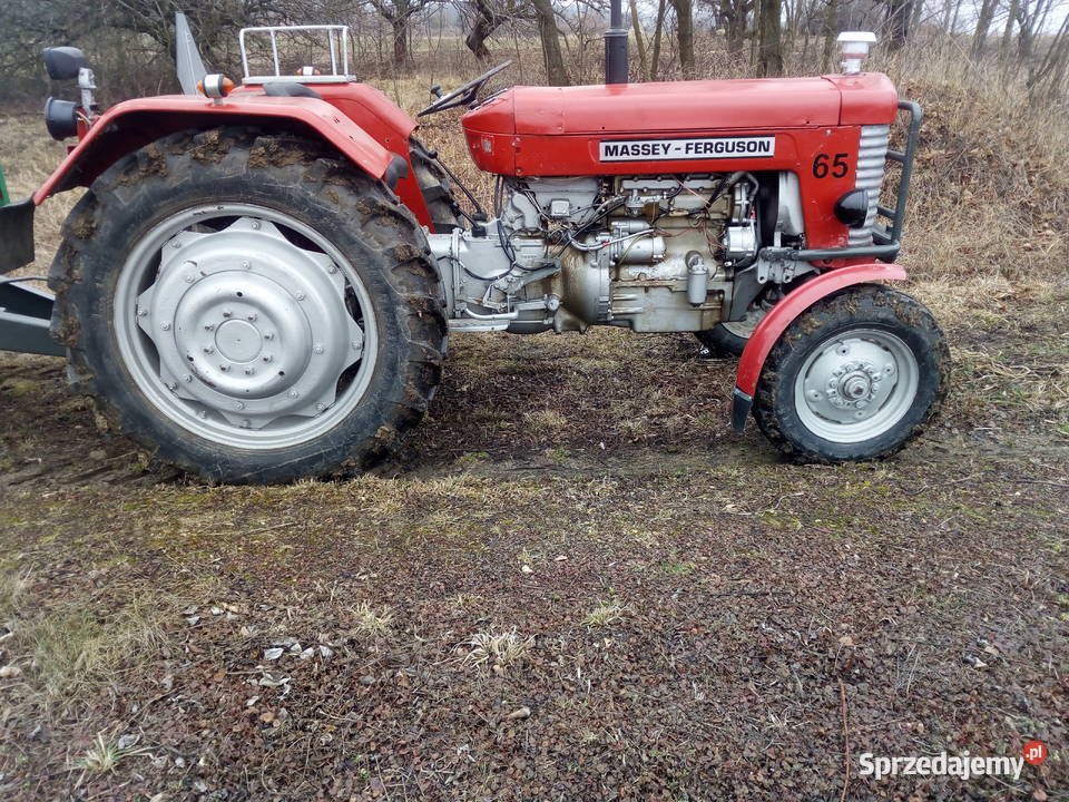Massey Ferguson 65 Zamiana sprzedam