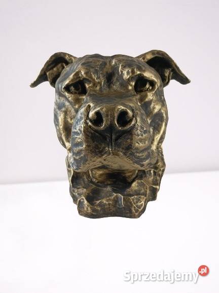 Figura Dekoracja Pies Głowa Amstaff Opole