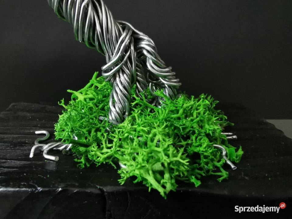 Zielone drzewko z chrobotkiem 13 Bolesławiec