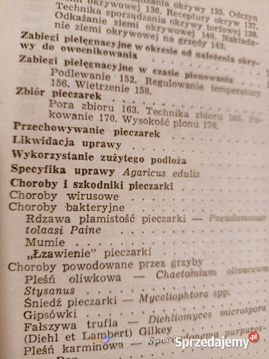 Pieczarka książki Szudyga księgarnia internetowa Warszawa sprzedam
