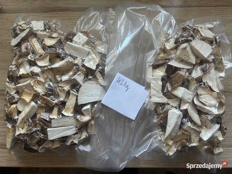 Białoporek brzozowy suszony 421gram