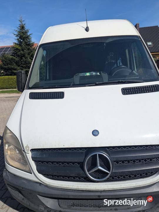 wynajem bus mercedes sprinter l2h2