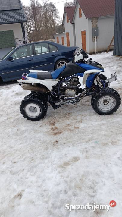 Quad Bashan 250 Bashan Niedarczów Dolny-Wieś sprzedam