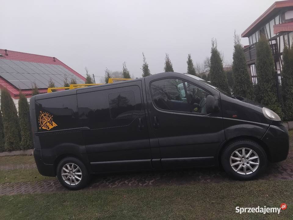 Sprzedam Vivaro pomorskie Malczkowo