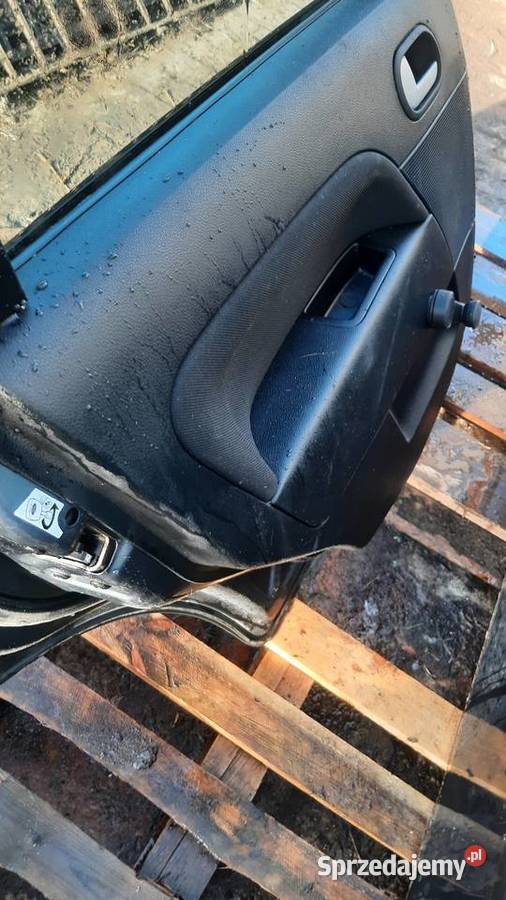 Drzwi Ford Fiesta mk6 lak JH1 kompletne bez Dębno