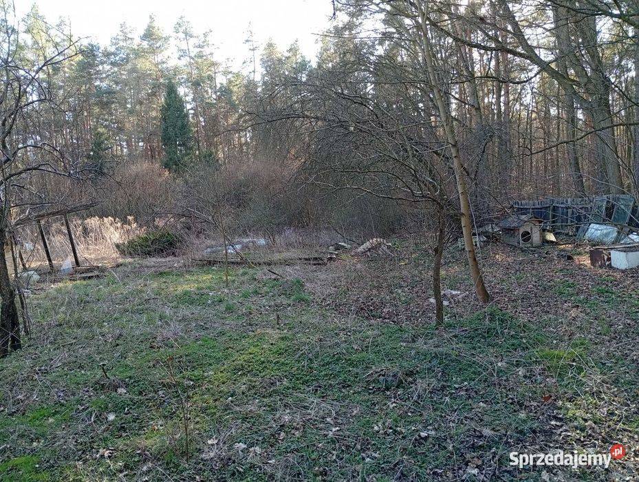 Sprzedam dom z dzialka 1052m2 Zawadzkie