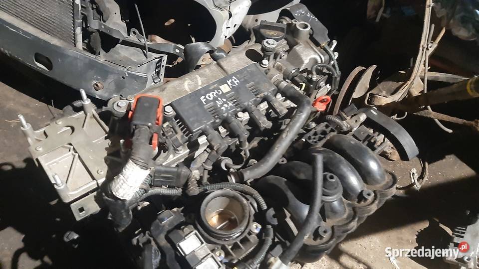 silnik 79 12 Fiat Ford 169A4000 osobowe Korzeńsko