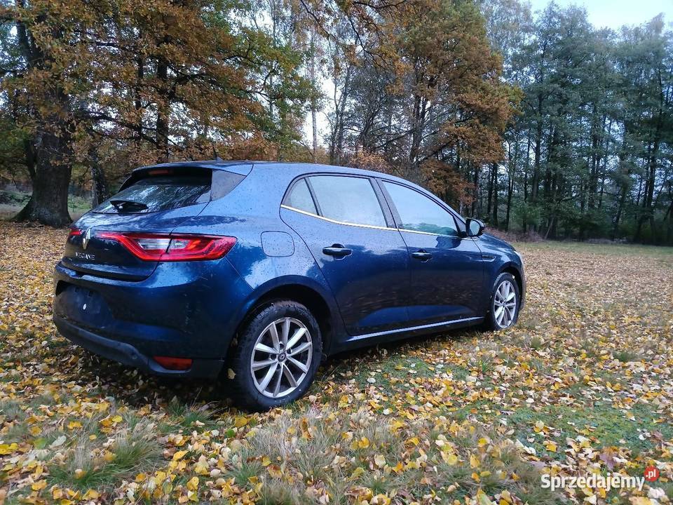 Renault Megane IV Uniejów
