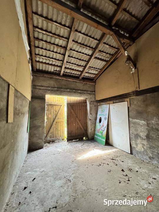 Wynajmę 8 pomieszczeń 20200m2 Hale i magazyny Czerniejewo sprzedam