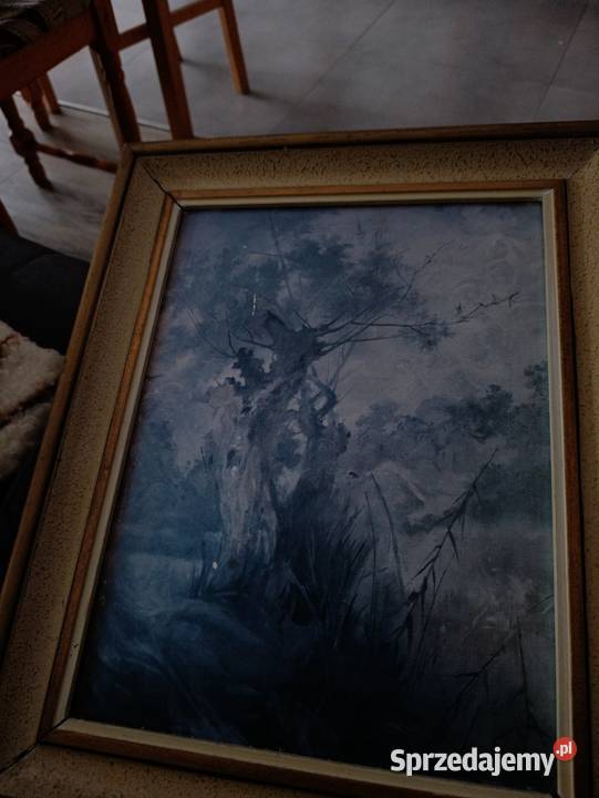obraz wierzby moczarami Witold Pruszkowski Poznań
