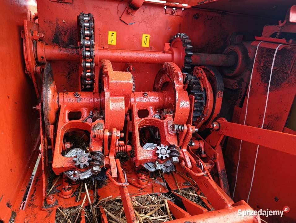 Prasa sipma 2006 r Sigma mazowieckie Rawica Nowa