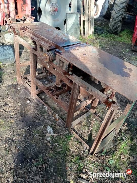 Heblarka grubościówka Wielkolas