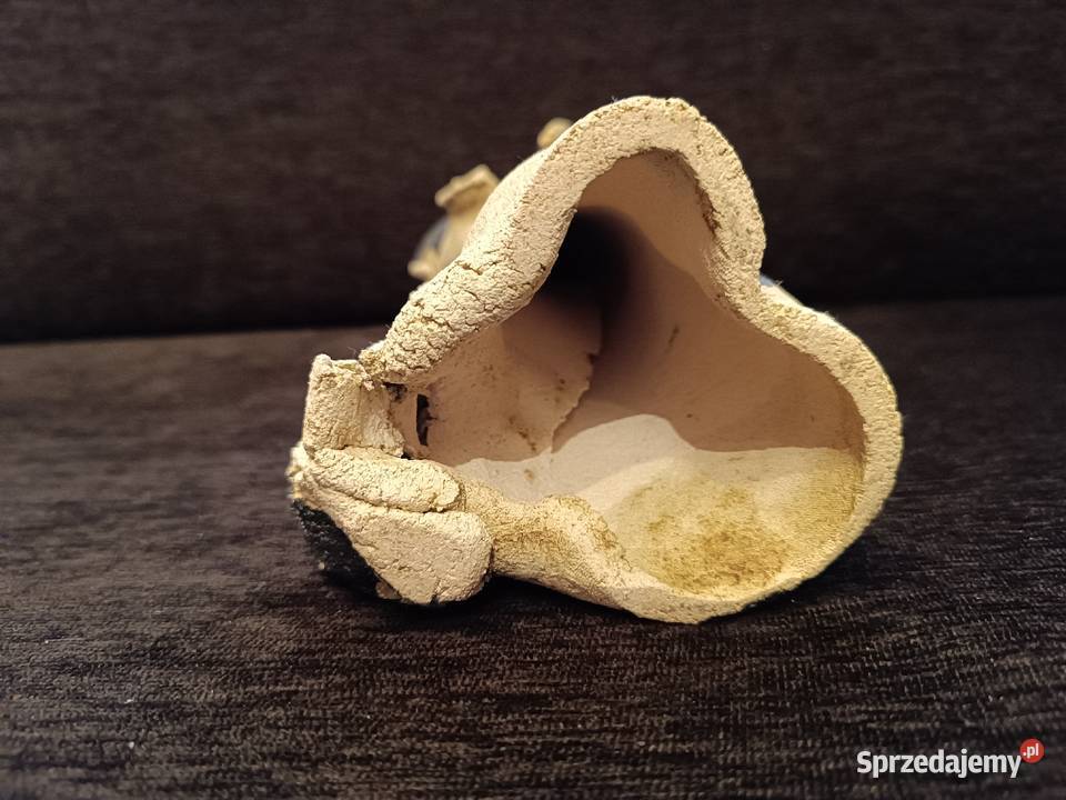 Kolekcjonerska duża figurka psa Fox terrier Szczyrk sprzedam