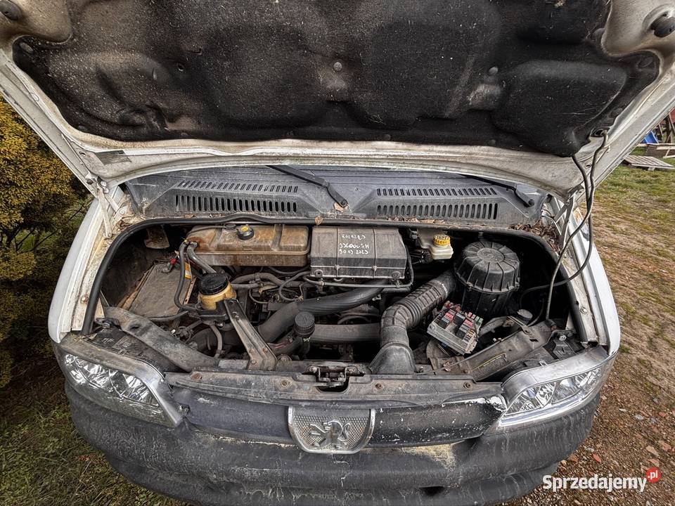 Bus Peugeot Boxer 100KM Peugeot lubuskie Międzyrzecz