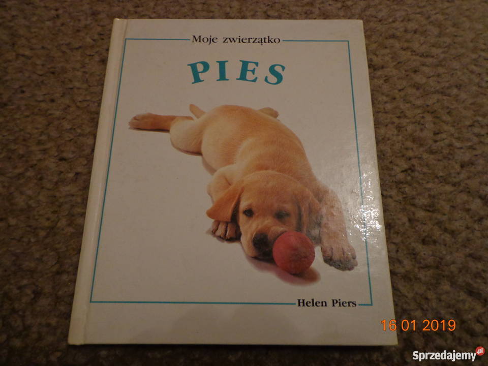 Moje zwierzątko Pies Helen Piers Łódź