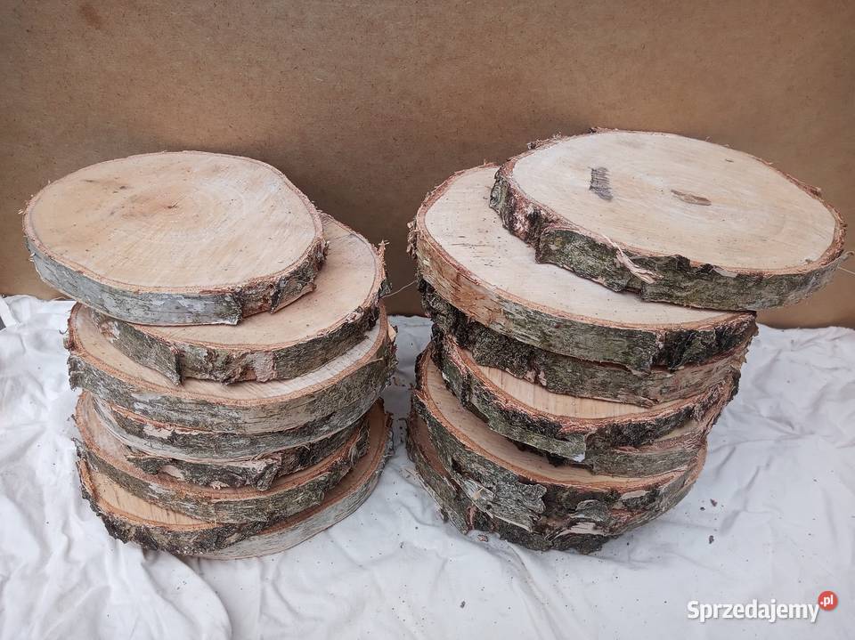 Plastry drewniane krążki brzoza 2429 Zduńska Wola