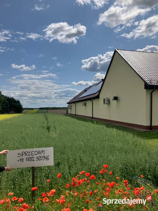 Na sprzedaż działka 110 ha Gmina Lgota Wielka