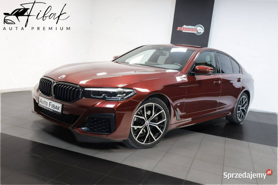 BMW 520 LCI190xDriveMpakietSalon PolskaI 104000km Konstantynów Łódzki